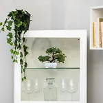 Dream House Apartament