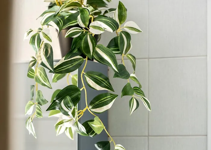 Dream House Apartmán *