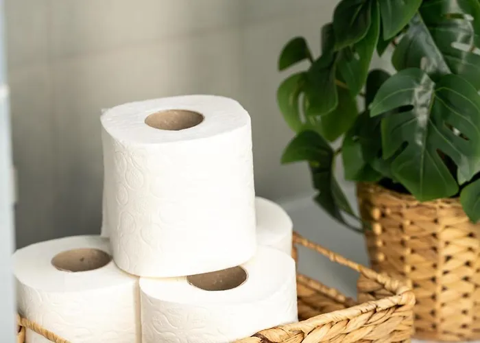 Apartment Dream House *